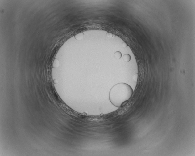 X0000075860755200610151635