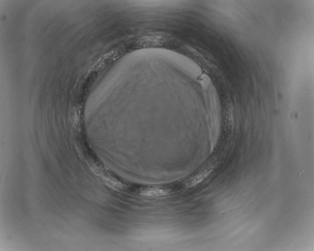 X0000075860759200610151635
