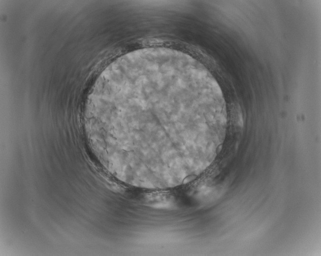 X0000075860761200610151635