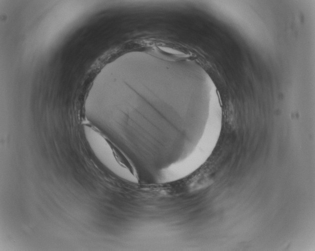 X0000075860763200610151635