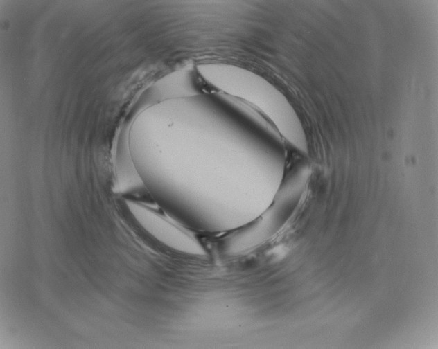 X0000075860764200610151635