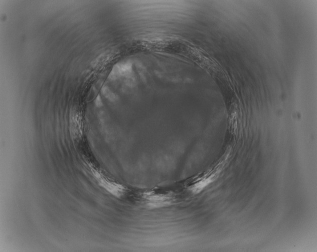 X0000075860772200610151634