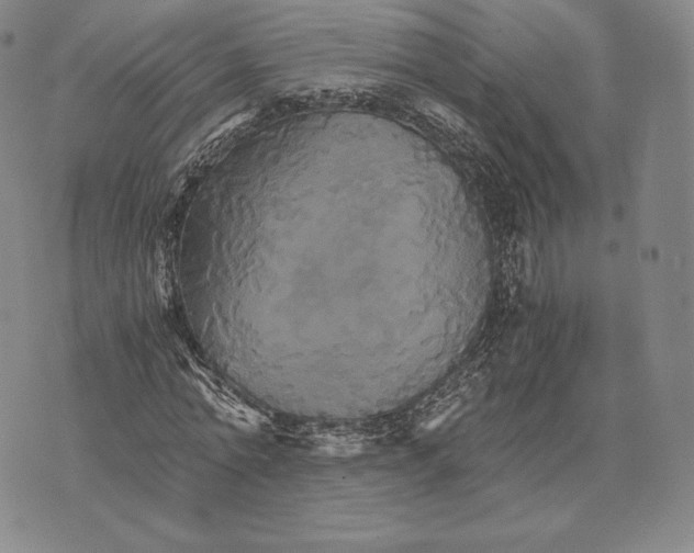 X0000075860774200610151634