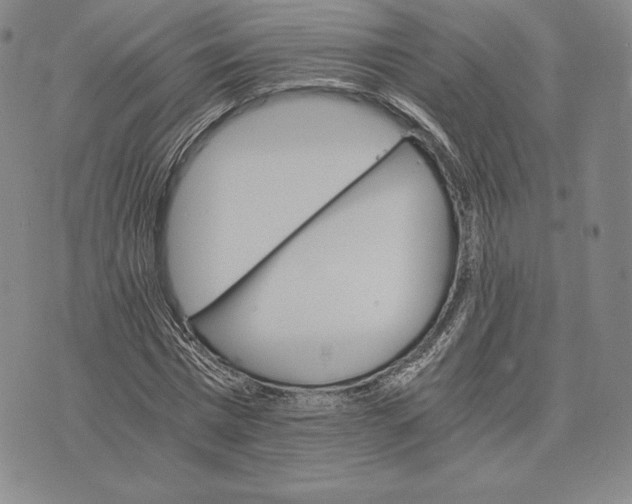 X0000075860777200610151634