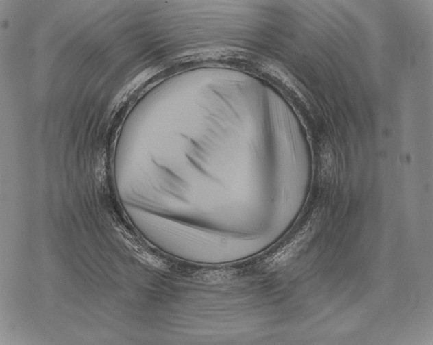 X0000075860778200610151634