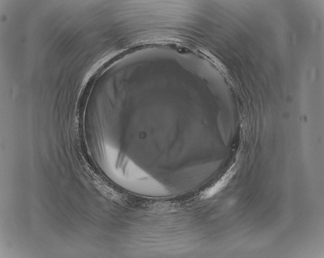 X0000075860779200610151634