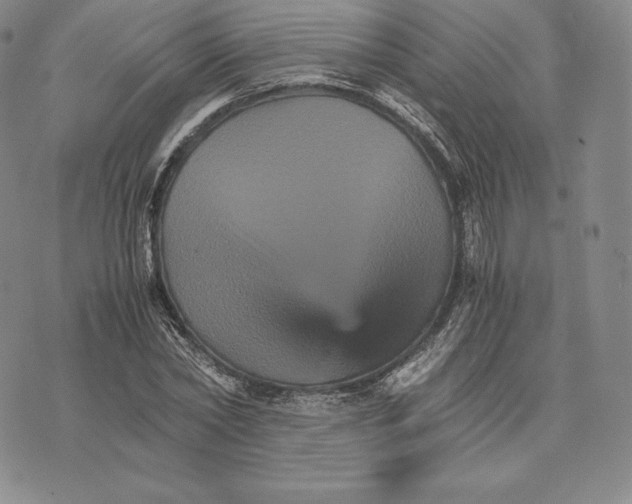 X0000075860782200610151634