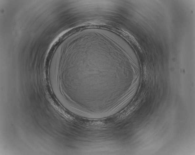 X0000075860784200610151634
