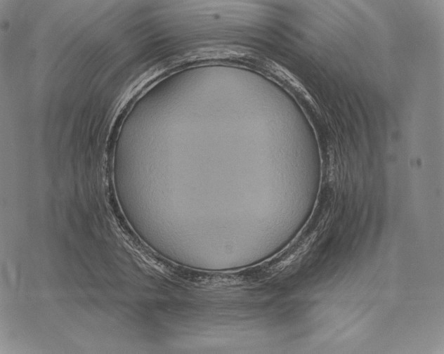 X0000075860786200610151634