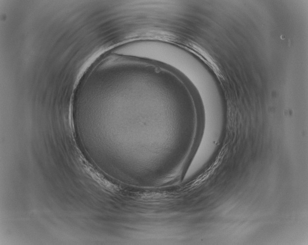 X0000075860788200610151634