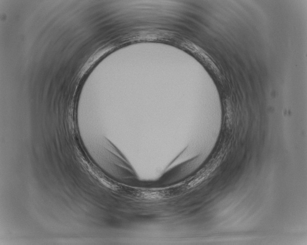 X0000075860794200610151634