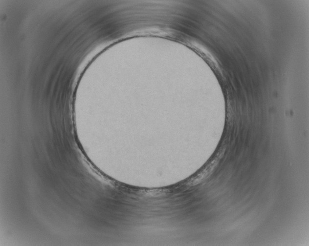 X0000075860808200610151634