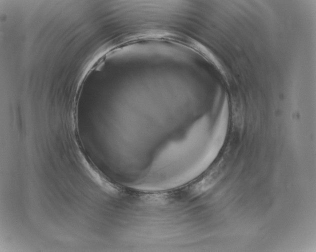 X0000075860810200610151634