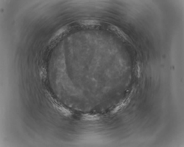 X0000075860821200610151633