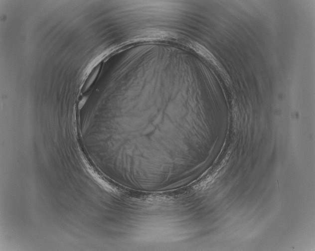 X0000075860842200610151633
