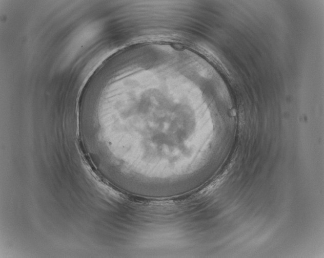 X0000075860844200610151633