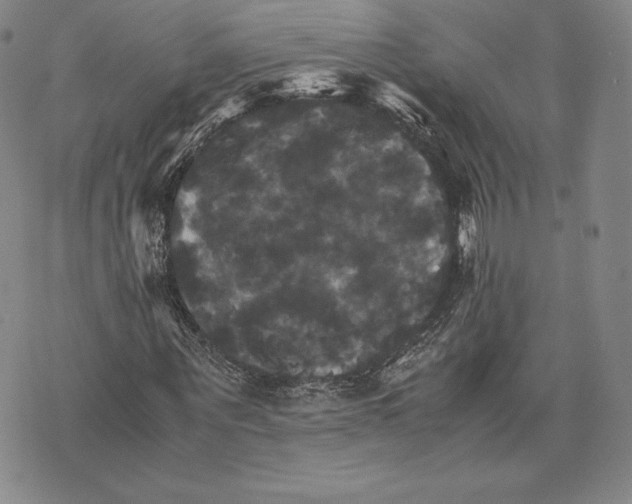 X0000075860867200610151633