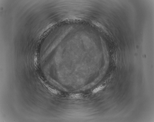 X0000075860870200610151633