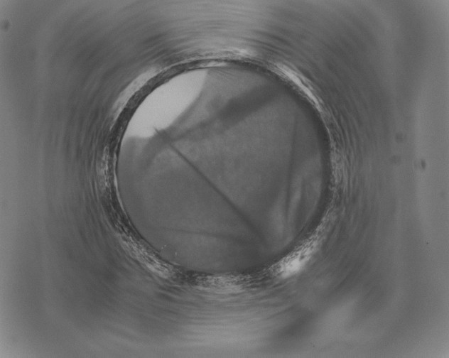 X0000075860875200610151633