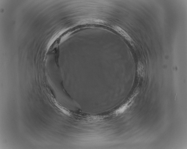 X0000075860877200610151632