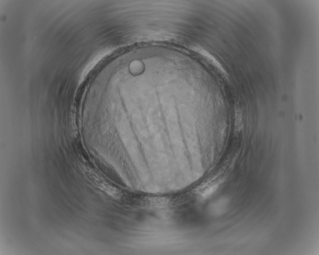 X0000075860878200610151632