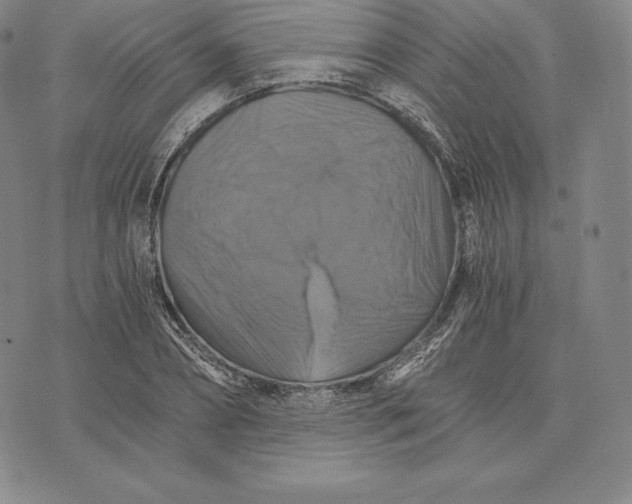 X0000075860882200610151632