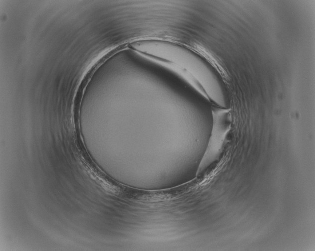X0000075860884200610151632