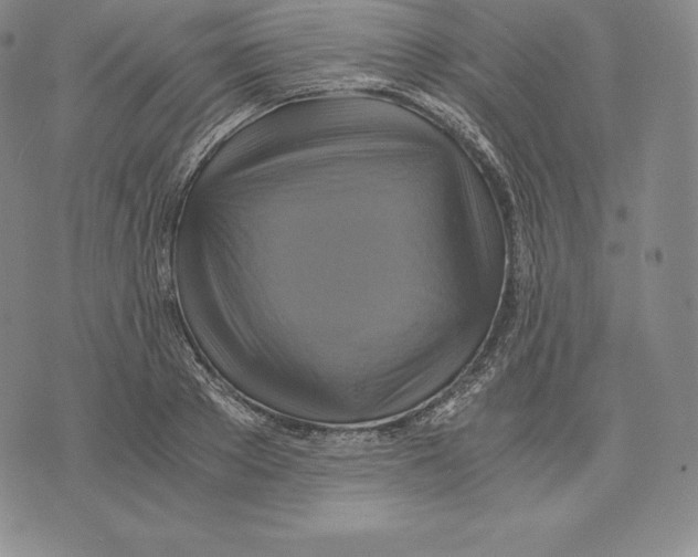 X0000075860889200610151632