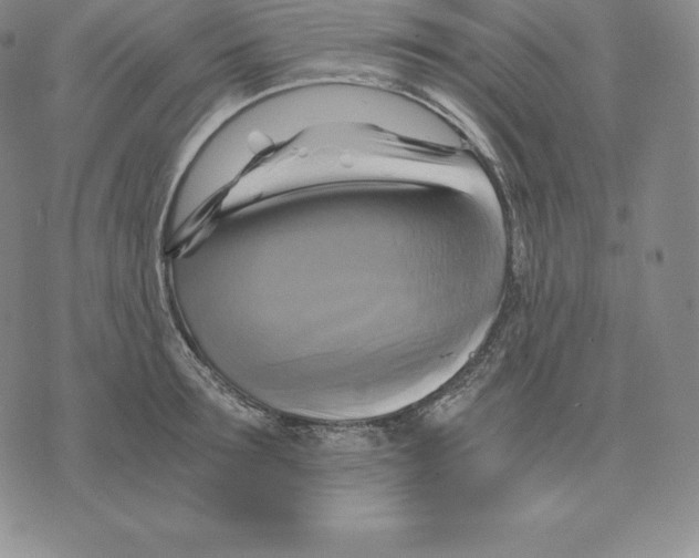 X0000075860899200610151632