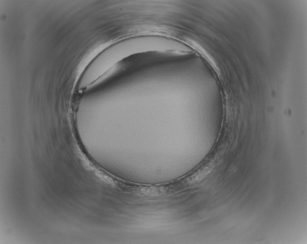 X0000075860901200610151632