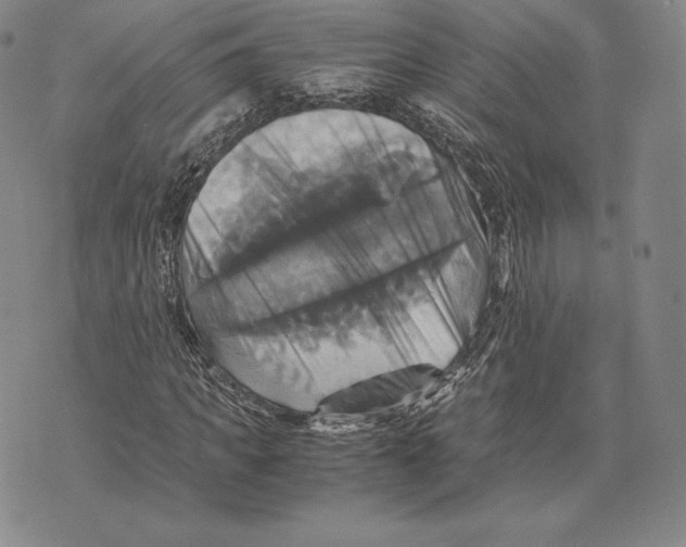 X0000075860917200610151631