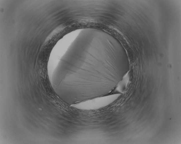 X0000075860919200610151631