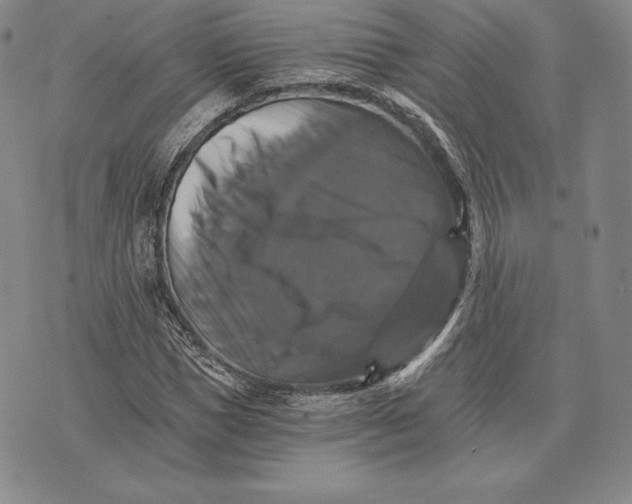X0000075860921200610151631