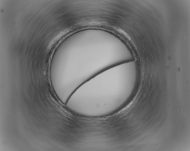 X0000075860922200610151631