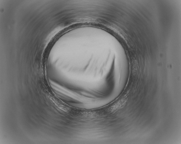 X0000075860927200610151631