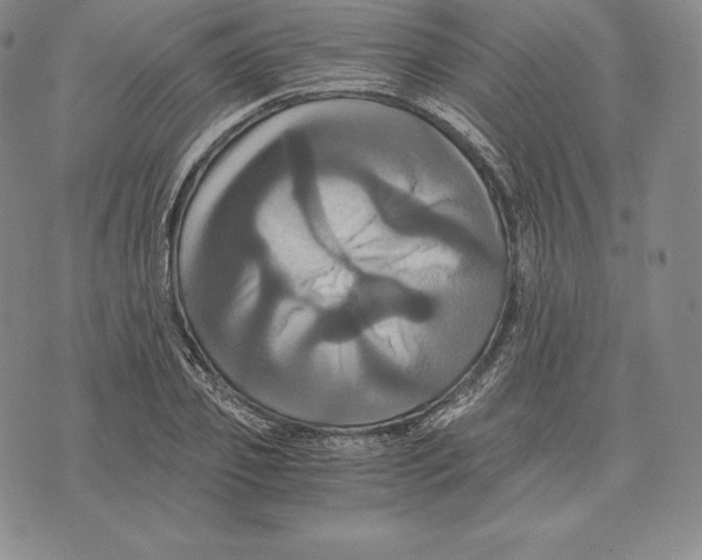 X0000075860933200610151631