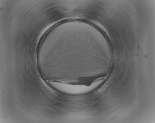 X0000075860935200610151631