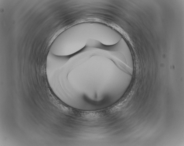 X0000075860945200610151632