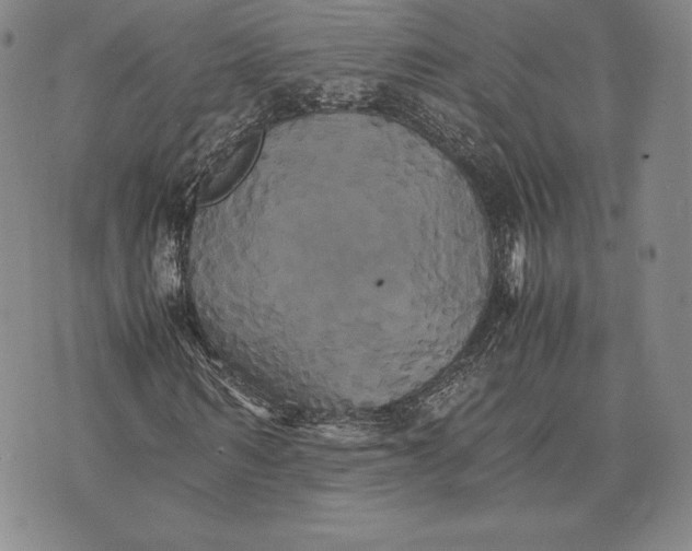 X0000075860962200610151631