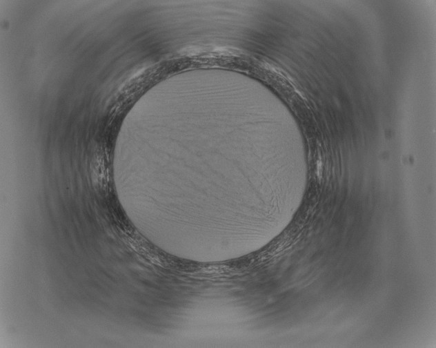 X0000075860966200610151631