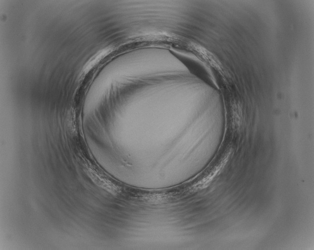 X0000075860970200610151631
