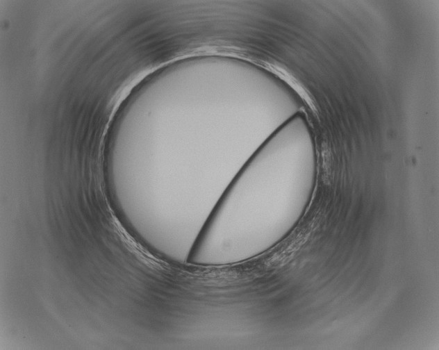 X0000075860972200610151631