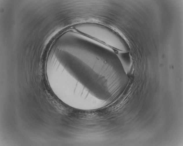 X0000075860975200610151631