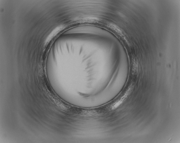 X0000075860978200610151631