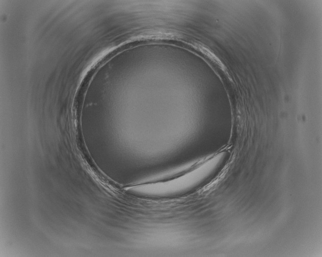 X0000075860981200610151631