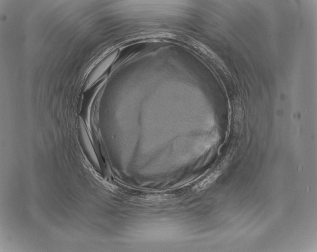X0000075860985200610151631