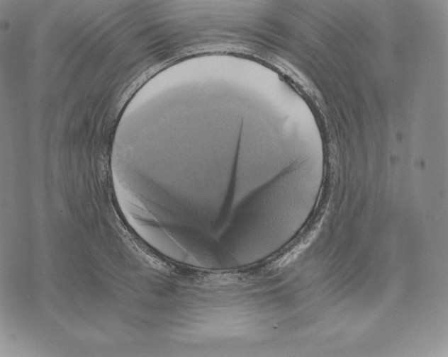 X0000075860993200610151631