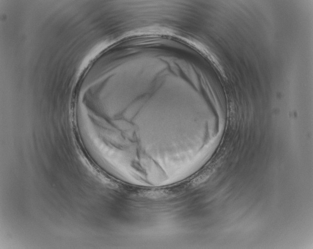 X0000075860998200610151631