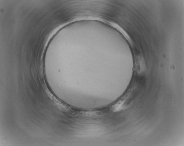 X0000075861004200610151630