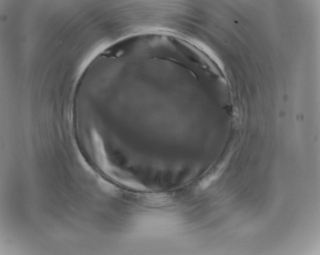 X0000075861007200610151630